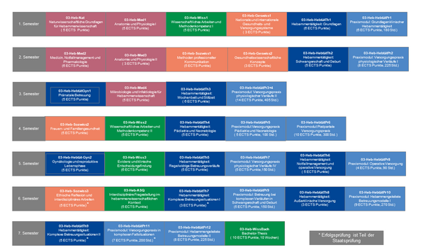 Praxisplan zeigt die praktischen Module mit den Kompetenzen nach Hebammenstudienprüfungsverordnung