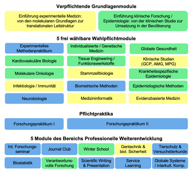 Lehrveranstaltungen - Translational Medicine